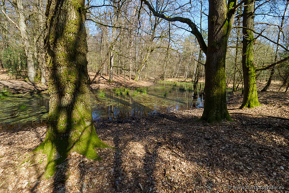 Bekenstelsel rondom Elspeet 060420-100