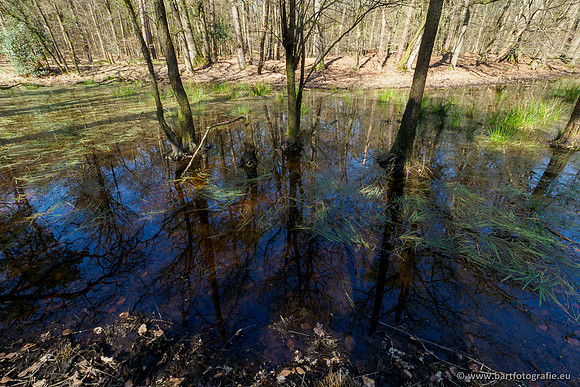 Bekenstelsel rondom Elspeet 060420-101