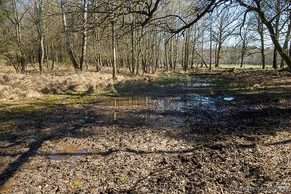 Bekenstelsel rondom Elspeet 060420-102