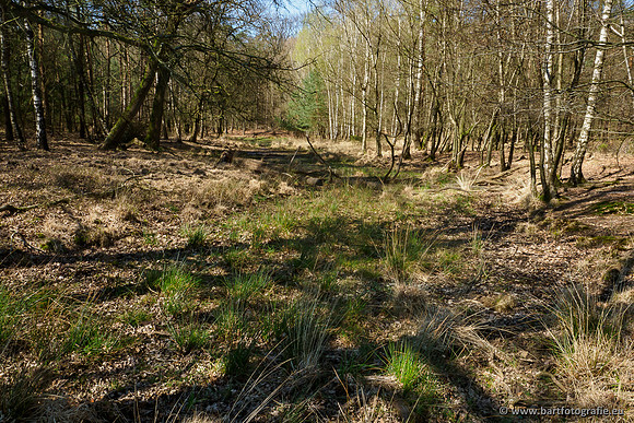 Bekenstelsel rondom Elspeet 060420-103