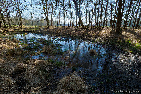 Bekenstelsel rondom Elspeet 060420-104
