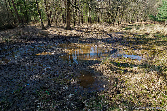 Bekenstelsel rondom Elspeet 060420-105