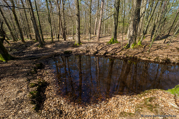 Bekenstelsel rondom Elspeet 060420-106