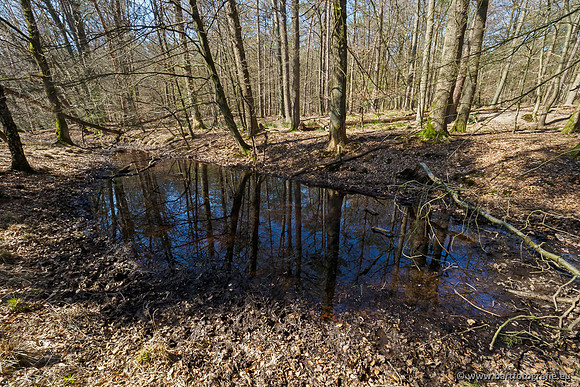 Bekenstelsel rondom Elspeet 060420-107