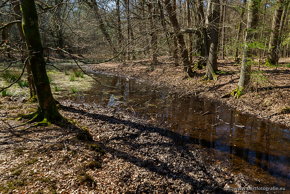Bekenstelsel rondom Elspeet 060420-108