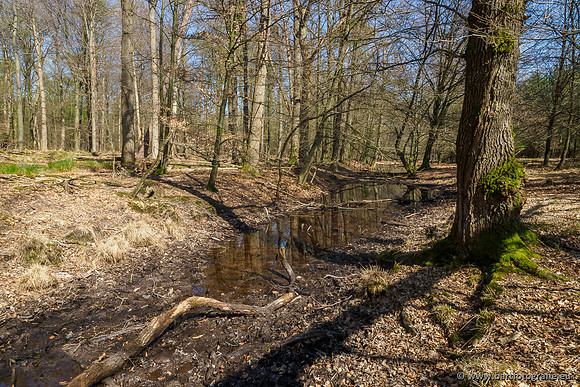 Bekenstelsel rondom Elspeet 060420-110