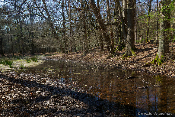 Bekenstelsel rondom Elspeet 060420-111