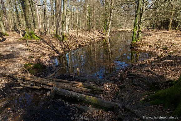 Bekenstelsel rondom Elspeet 060420-112