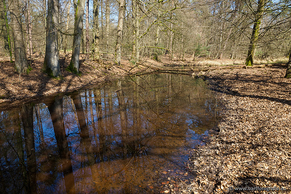 Bekenstelsel rondom Elspeet 060420-113