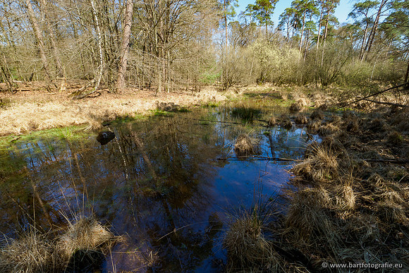 Bekenstelsel rondom Elspeet 060420-114