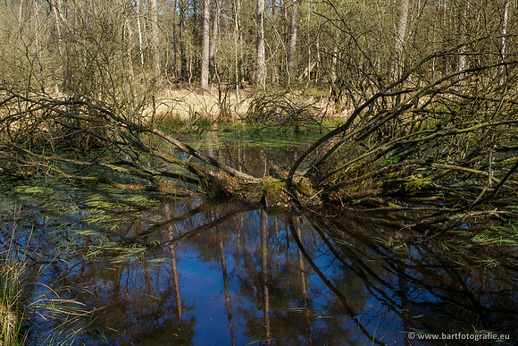 Bekenstelsel rondom Elspeet 060420-116