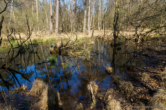 Bekenstelsel rondom Elspeet 060420-117
