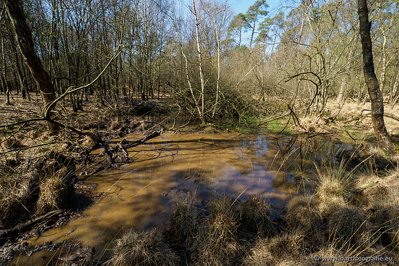 Bekenstelsel rondom Elspeet 060420-118