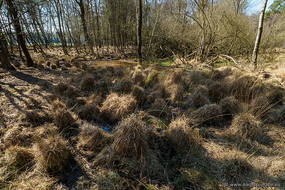 Bekenstelsel rondom Elspeet 060420-119