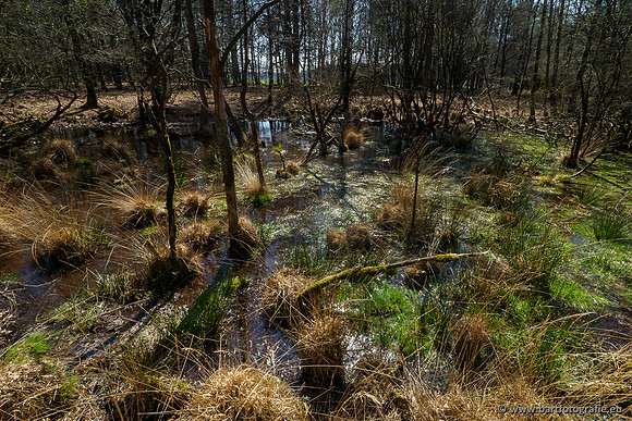 Bekenstelsel rondom Elspeet 060420-121