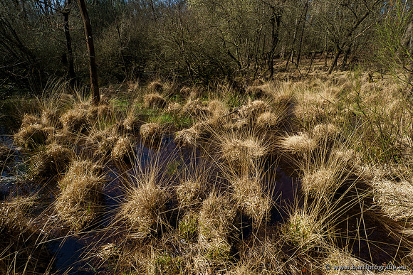 Bekenstelsel rondom Elspeet 060420-122
