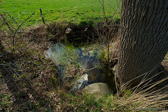 Bekenstelsel rondom Elspeet 060420-128