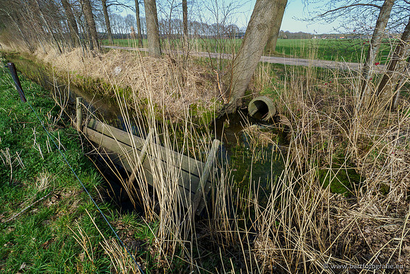 Bekenstelsel rondom Elspeet 060420-129