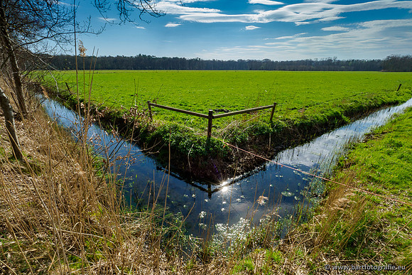 Bekenstelsel rondom Elspeet 060420-131