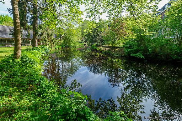 Hierdense beek 080520-002