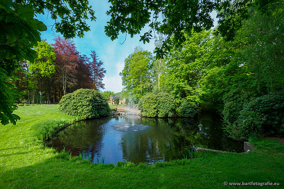 Hierdense beek 080520-005