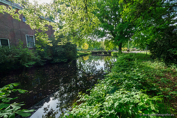 Hierdense beek 080520-003