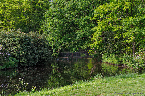 Hierdense beek 080520-006