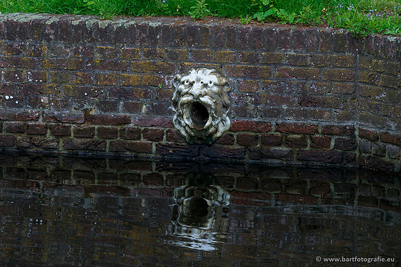 Hierdense beek 080520-007