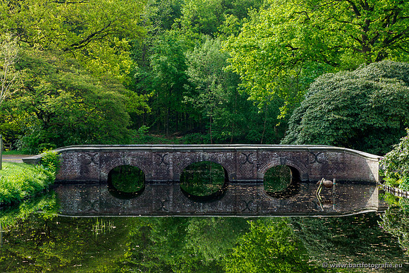 Hierdense beek 080520-013
