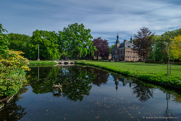 Hierdense beek 080520-014