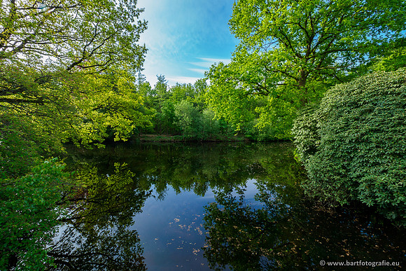 Hierdense beek 080520-017