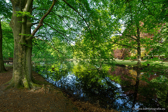 Hierdense beek 080520-018