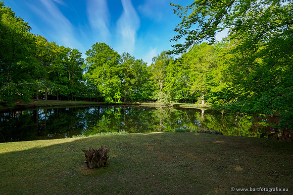 Hierdense beek 080520-019