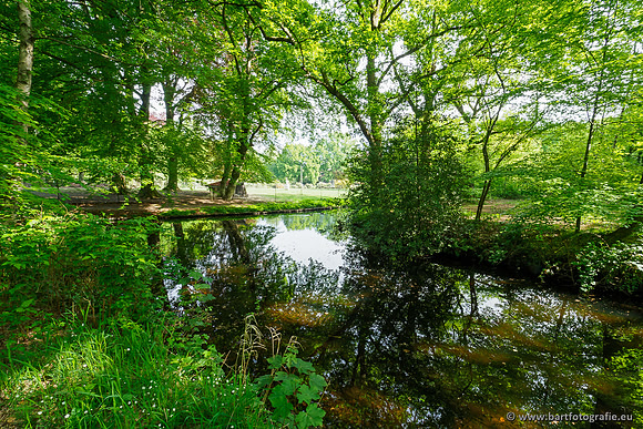 Hierdense beek 080520-030