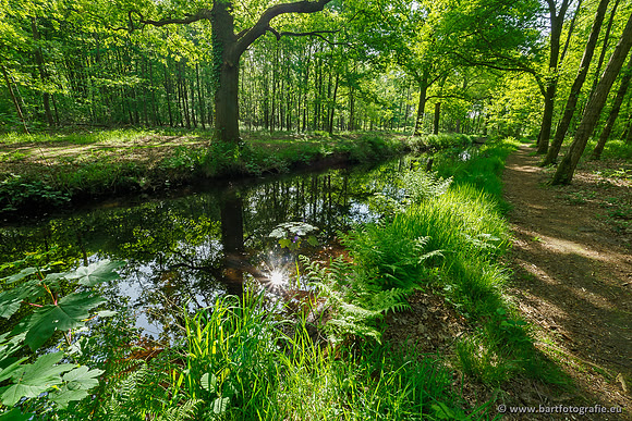 Hierdense beek 080520-031