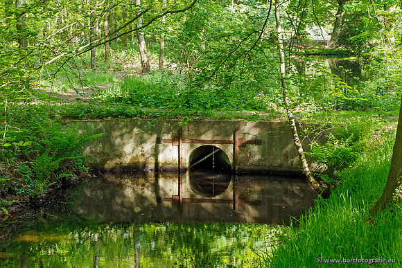 Hierdense beek 080520-033