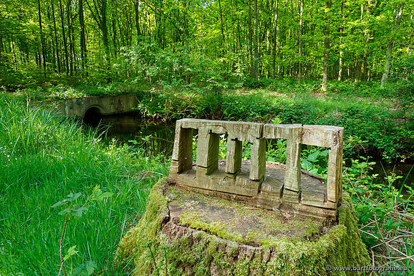 Hierdense beek 080520-035