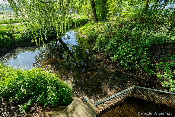 Hierdense beek 080520-037
