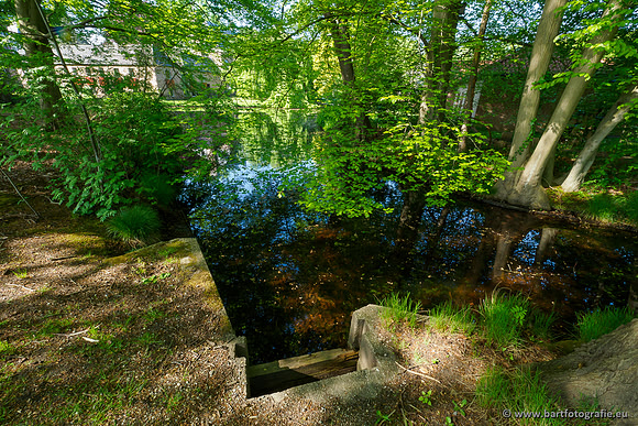 Hierdense beek 080520-038