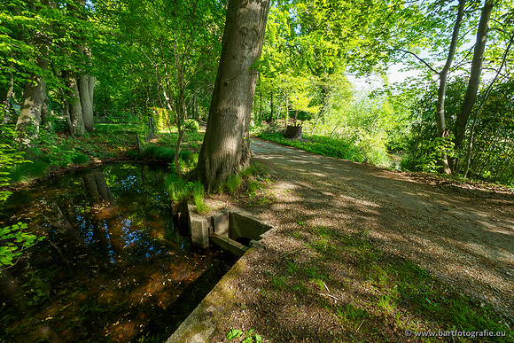 Hierdense beek 080520-039