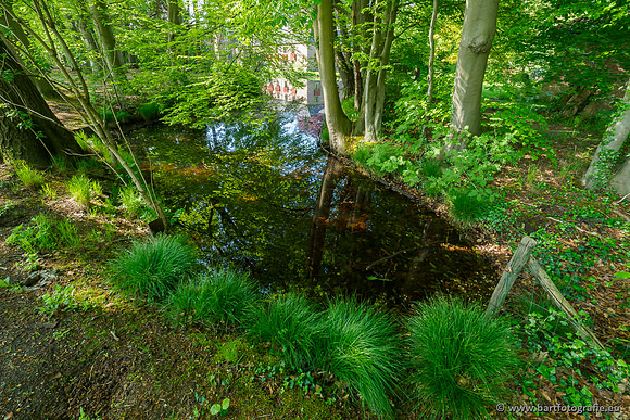 Hierdense beek 080520-040
