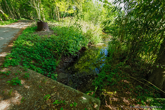 Hierdense beek 080520-041