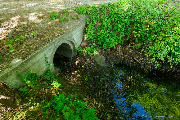 Hierdense beek 080520-042