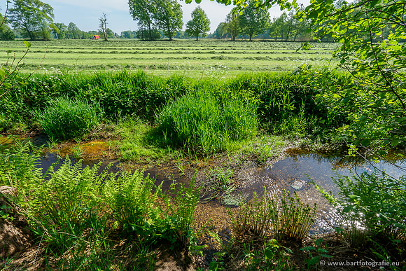 Hierdense beek 080520-043