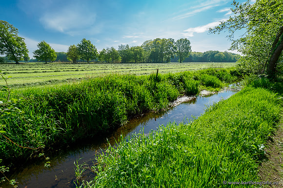 Hierdense beek 080520-044