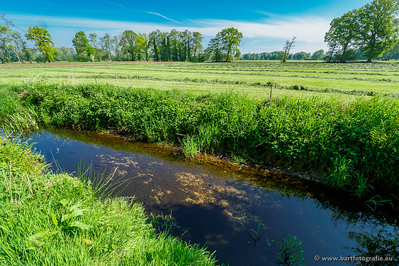 Hierdense beek 080520-045
