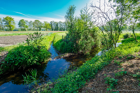 Hierdense beek 080520-046