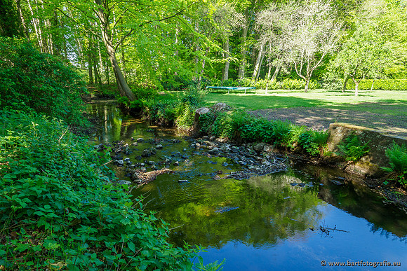 Hierdense beek 080520-047