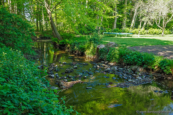 Hierdense beek 080520-048