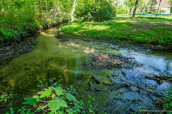 Hierdense beek 080520-050